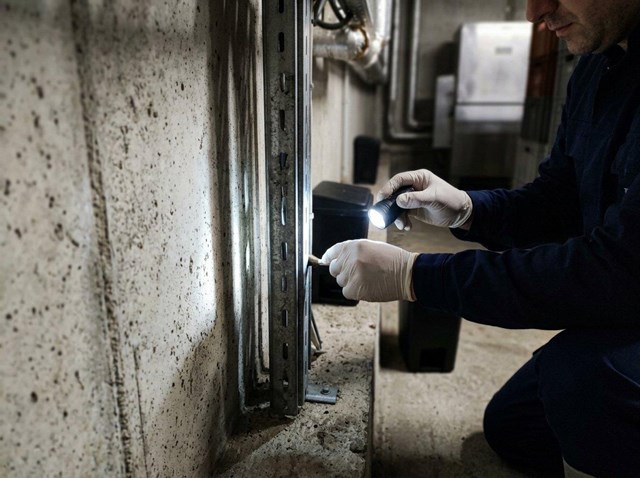Cómo proteger tu industria alimentaria de roedores en Vigo - Imagen 1