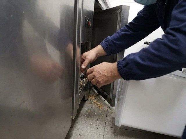 Desratización ecológica con sistema Ekomille en industria alimentaria en A Coruña - Imagen 1