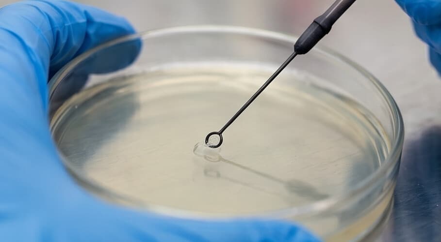 Plan de prevención de legionella en una instalación de riesgo en A Coruña